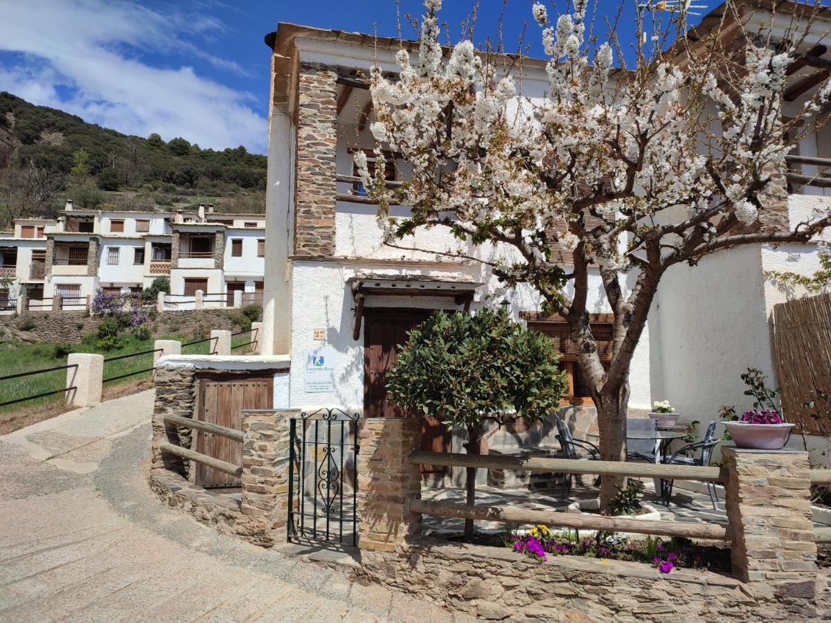 Casa Alpujarrena Fina Numero 27 Bubion Exterior photo